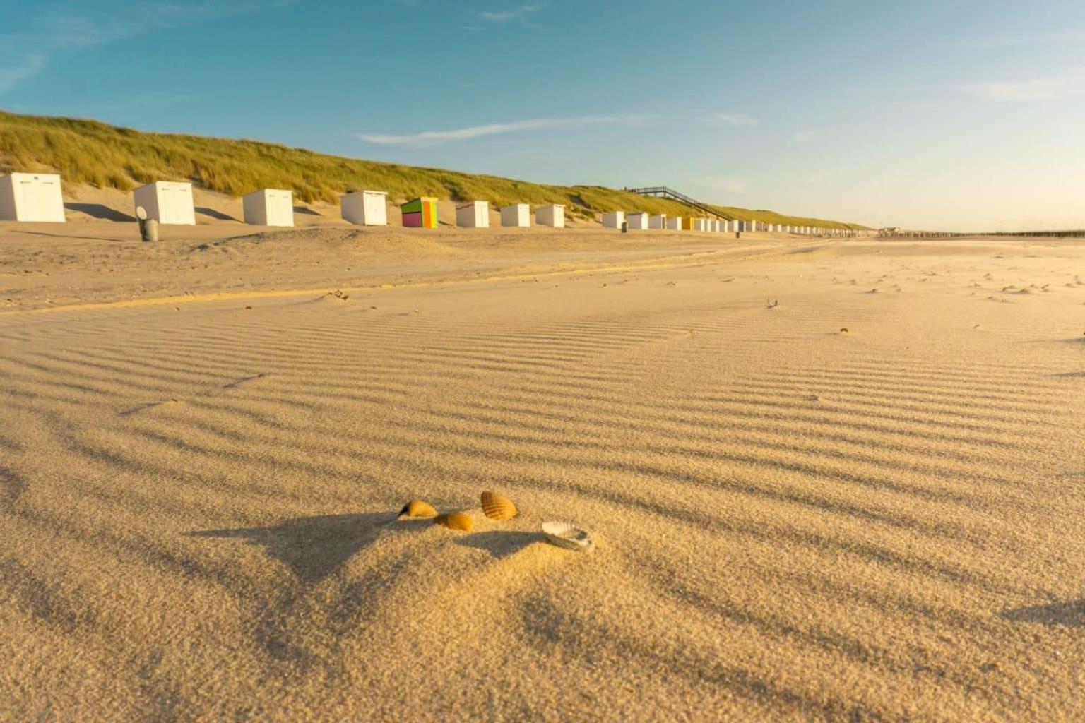 'Relax Lodge Sea' - Wellness Lodge In Zeeland - Private Sauna - Airco - Garden - Outdoor Swimming Pool - Free Wifi, Towels & Bed Linen Heinkenszand エクステリア 写真